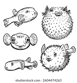 Vector Line art of Puffer fish