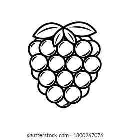 Vector line art raspberry icon. Isolated fruit silhouette in cartoon style. Fruit pictogram for coloring