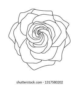 Vector Line Art Rose Black Isolated Stock Vector (Royalty Free ...