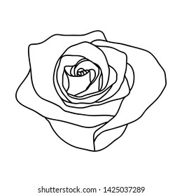 Vector line art of rose. Black isolated on white.