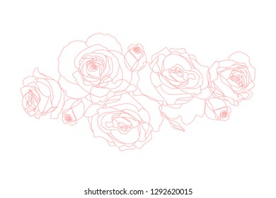 Vector line art of roses. Pink isolated on white. T-shirt print design