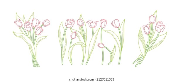 Conjunto de líneas vectoriales de flores primaverales florecientes. Arte de la línea floral de los tulipanes. Símbolo del Día de la Mujer, Día de la Madre. Tulipanes aislados sobre fondo blanco. Diseñar un elemento de tulipanes de trabajo lineal. Primavera