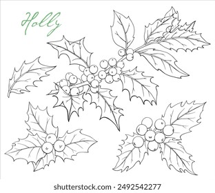 Vektorgrafik Line Art Set Holly Zweig mit Beeren und Blättern. Handgezeichnete Skizze. Schwarz-Weiß-Elemente. Illustration für Urlaubsdekor Grußkarte