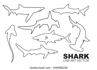 vector line art shark  set collection
