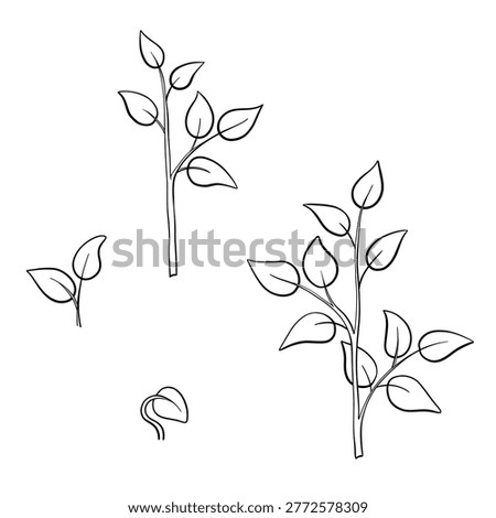 Vector line art showing the growth stages of a tree from seedling to full leafy sapling, playful and child-friendly illustration for gardening and nature themes.