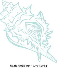 Esbozo de arte de línea de vector imagen marina de la concha azul en estilo doodle