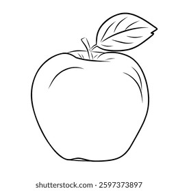 vector line art sketch image of an apple with leaves