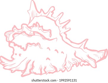 Vektorgrafik-Skizze, rosafarbene Muschel-Meeresbild im Doodstil