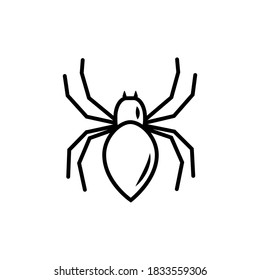 Vector line art spider isolated on white background. Insect with eight legs for Halloween design.