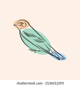 Vector line art of a swallow bird