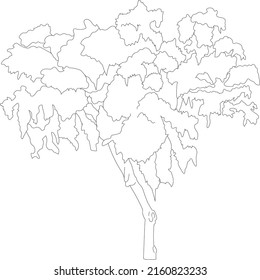 Vector line art tree illustration. Flat tree silhouette. 