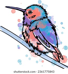 Vector line art and watercolor illustration of hummingbird.