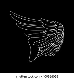 the vector line art wings on black