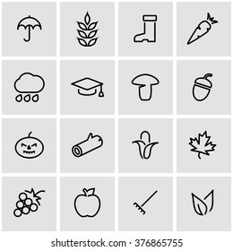 Vector line autumn icon set.