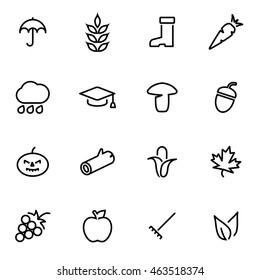 Vector line autumn icon set on white background