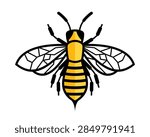 Vector line of Bee illustration
