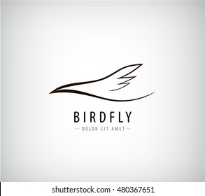 Vector line bird logo, Abstract Bird sign design template.