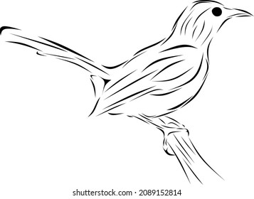 vector line or bird logo for a product or business