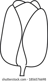 Vector line black contour of a tulip flower isolated on a white background.