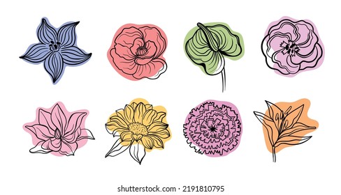 Vector line black illustration graphics flowers: green anthurium, eustoma, dianthus, clematis, lily, magnolia, sunflower, poppy colors stains.