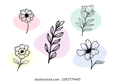 Vector line black illustration graphics set doodle flower with colors stain isolated on white design element	