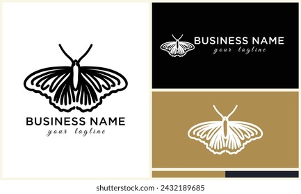 vector line butterfly logo template