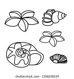 vector line cartoon animal clip art seashell, starfish
