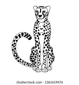 vector line cartoon animal clip art african cheetah