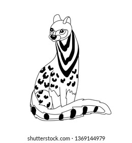 vector line cartoon animal clip art civet cat