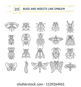 Vector line collection of insects and bugs made in modern flat style. 