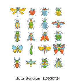 Vector line collection of insects and bugs made in modern flat style. 