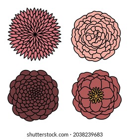 Ilustración de color de línea de vectores con flores Peony decorativas estilizadas. Aislado sobre fondo blanco