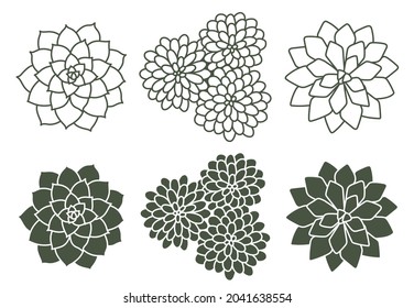 Vector line color handdrawn illustration set with stylized decorative succulents. Isolated on white background