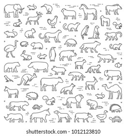 Vector line concept for american, african and australian animals. Linear banner for pets and farm animals. Open path.