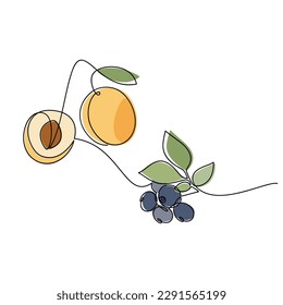 Vector line continuous apricots and blueberry branch with leaves. Hand drawn outline illustration. Linear berries silhouette, fruit icon. Garden plant. Minimal design, print, banner, card, logo.