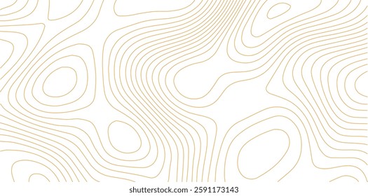 Vector line contour map texture, typography abstract pattern, mountain landscape grid.
