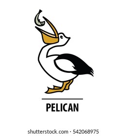 Vector line design icon. Line silhouette bird. Color logo design Pelican with fish