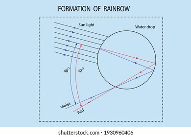 vector line diagram to demonstrate the formation of rainbow