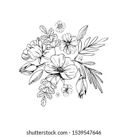 Vector line doodle flowers bouquet isolated on white background. Coloring page illustration outline.