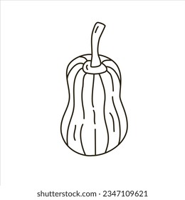 Vector line doodle illustration of an autumn pumpkin.