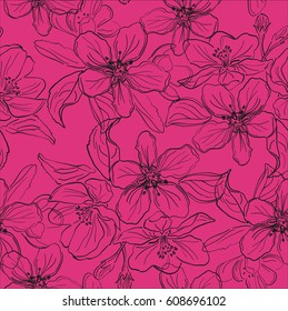 Vector line drawing of an apple-tree flowers on pink  background
