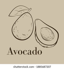 Vector line drawing of avocado fruit with it's cut half side