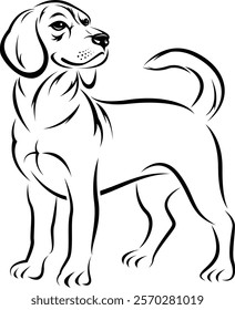 Vector of line drawing of beagle dog standing in profile, minimalist black and white art style. Pet. Animal.