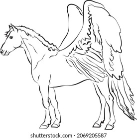 dibujo vectorial de un bello caballo con alas