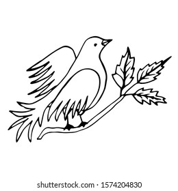 Vector line drawing bird sitting at tree branch with leaves, sketch of dove, hand drawn bird, isolated nature design element.