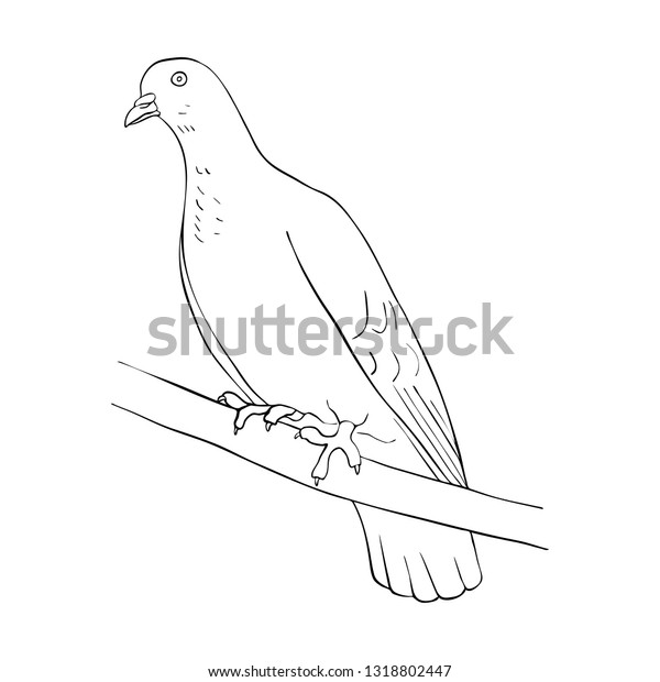 Vector Line Drawing Bird Sitting Tree Stock Vector Royalty