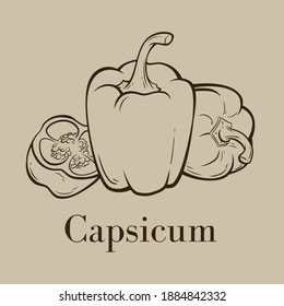 Vector line drawing of Capsicum vegetable with a slice. 