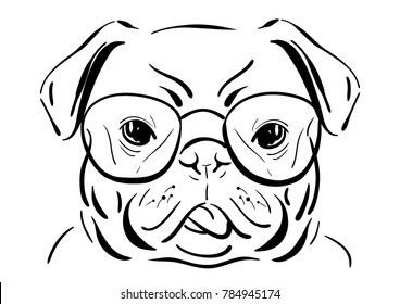 Vector line drawing of cute bulldog in a glasses