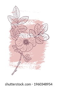 vector line drawing floral poster, abstract minimal natural wall art, hand drawn botanical illustration for cover design or print