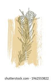 afiche floral de dibujo de línea vectorial, arte abstracto mínimo de pared natural, ilustración botánica dibujada a mano para diseño de cubierta o impresión